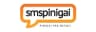 Smspinigai